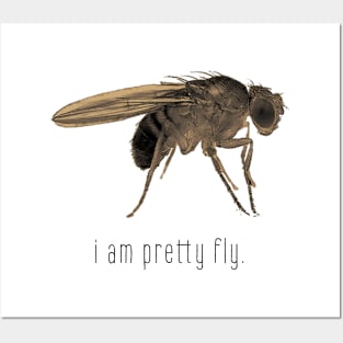 i am pretty fly. Posters and Art